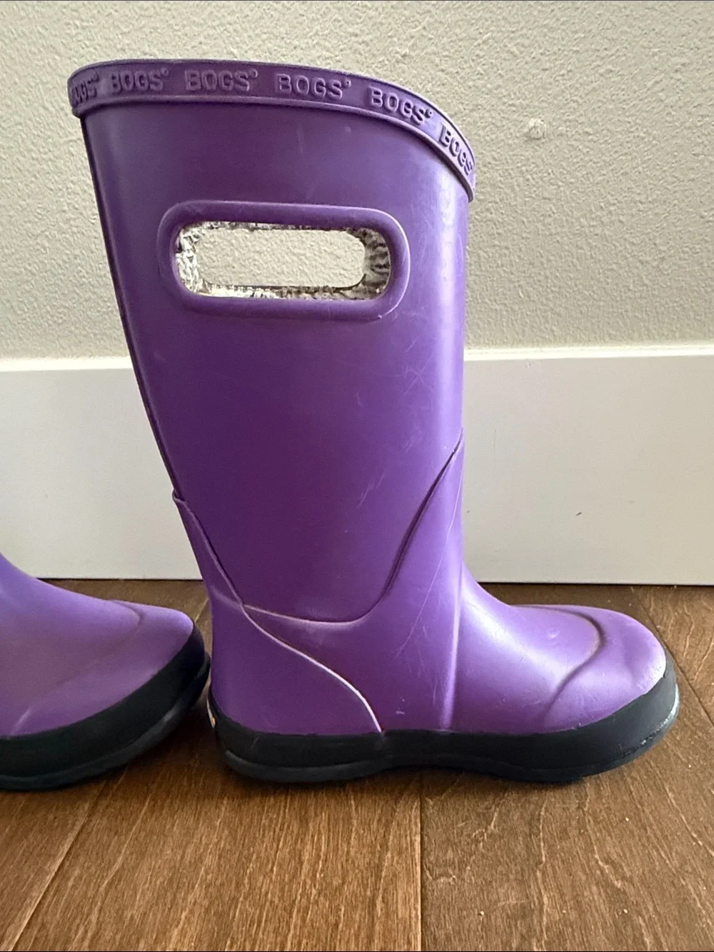 Bogs bright purple